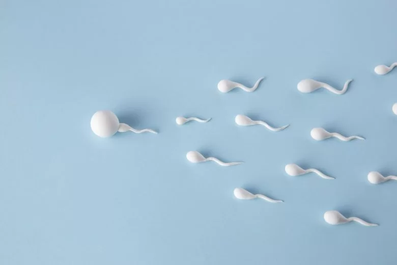 Steigerung der Spermienzahl: Die Geheimnisse der Natur für optimale Fruchtbarkeit entschlüsseln